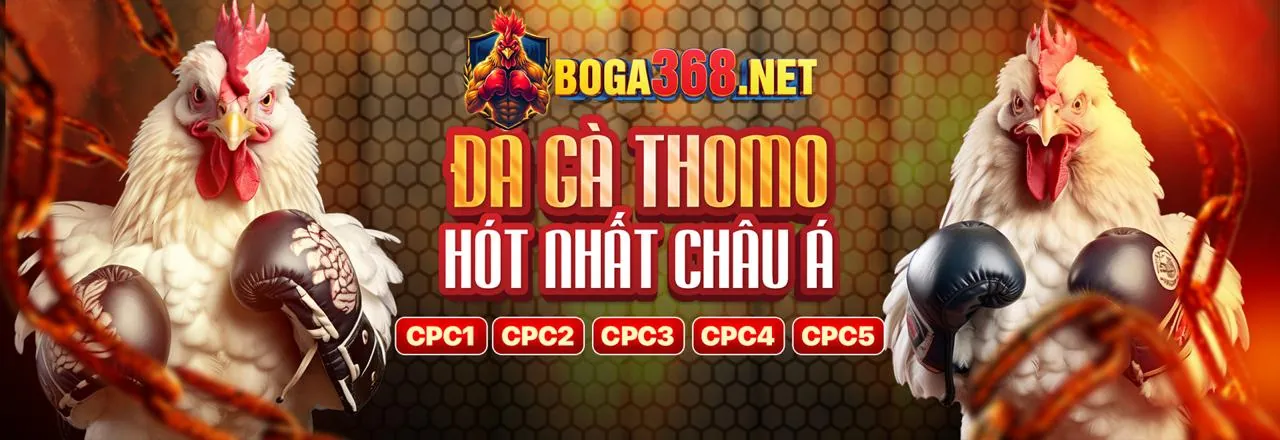 Ưu Đãi BL777 Hấp Dẫn Nhất Năm 2026